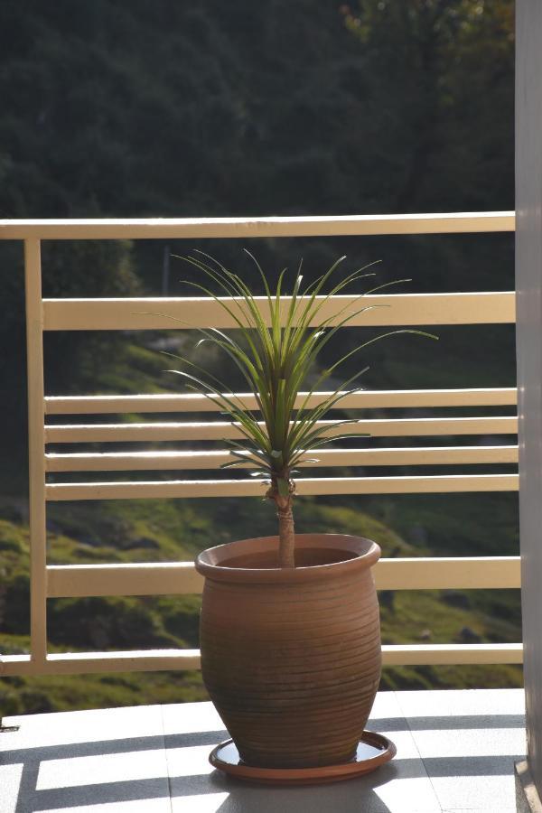 Jot Eco Boutique Stays Dharamshala Bagian luar foto