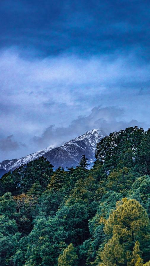 Jot Eco Boutique Stays Dharamshala Bagian luar foto